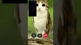 Thumbnail: When friend keeps calling you
