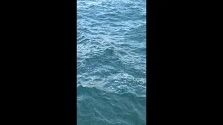 Thumbnail: Water is life #ChicagoWaterWeek
