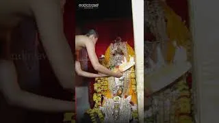 Thumbnail: Udupi: ಗುರು ರಾಯರ 355 ನೇ ಆರಾಧನೆಯ ಎರಡನೇ ದಿನದ ಮಹಾಪೂಜೆ ಸಂಪನ್ನ | Sacred Madhyaradhana of Guru Rayaru