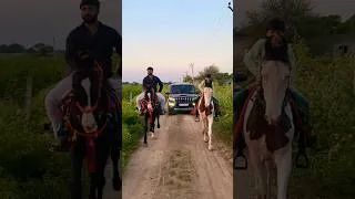 Thumbnail: horse riding video | horse race video | Gujarati shorts #gujaratishorts #ytshorts #youtubeshorts