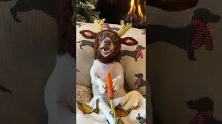 Thumbnail: 🎄🎉 Merry Christmas and Happy New Year 2025! 🎉🎄