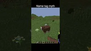 Thumbnail: Minecraft name tag myth #minecraft #shorts