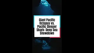 Thumbnail: Giant Pacific Octopus vs. Pacific Sleeper Shark: Deep Sea Showdown