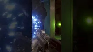 Thumbnail: How will these new weapons affect Campaign Evolved's legacy #halo #halocampaignevolved #gaming