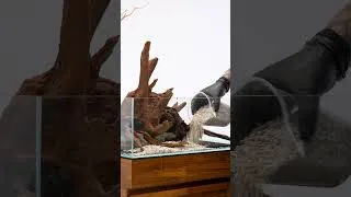 Thumbnail: UNS 60 Shallow Aquarium Hardscape Setup