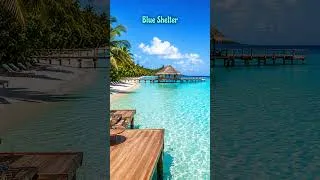 Thumbnail: Blue Shelter