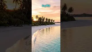 Thumbnail: Stay Wild