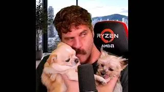 Thumbnail: cuteness overload! @HarleyMorenstein