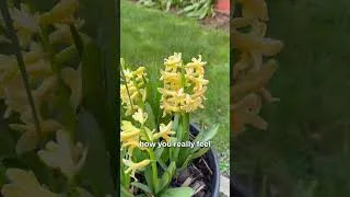 Thumbnail: Spring Retreat- The Art Of Slow Living