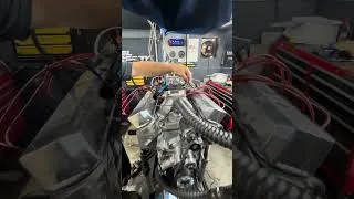 Thumbnail: FIRST EVER SMALL BLOCK MOPAR ON THE DYNO!!! and it has a DANIEL POWELL CAM?!?!?!?! Stay tuned!!!