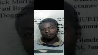 Thumbnail: MY GUN IS MY BEST FRIEND, Cedric Doggie Murray, The Diary of Cedric Murray