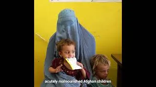 Thumbnail: 14 million Afghans face acute hunger now, warns #WFP