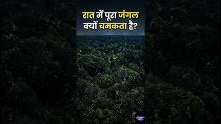Thumbnail: रात में पूरा जंगल क्यों चमकता है? 😱✨ | जुगनू का रहस्य | Firefly Mystery#amezon #jungle #jugnu