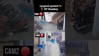 Thumbnail: Breaking: Leopard spotted in IIT Bombay campus student hostel #iitbombay #jeemains #neetpaperleak