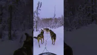 Thumbnail: Christmas In ALASKA!