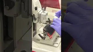 Thumbnail: U of T LMP tours - What happens in the pathology lab?