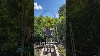 Thumbnail: DIY Arch Trellis Tutorial