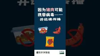 Thumbnail: 遏制非洲猪瘟