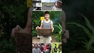 Thumbnail: Young Scientist | Pierre Lau