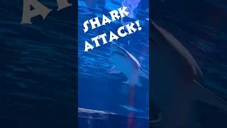 Thumbnail: Shark #jaws #shorts