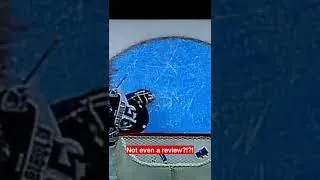 Thumbnail: Did the Martin Gelinas No Goal Call Cost the Calgary Flames the Cup?
