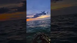 Thumbnail: Serenading sunset