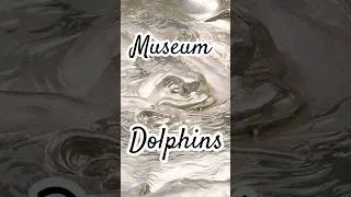 Thumbnail: The V&A Dolphin Collection 🐬