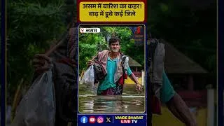 Thumbnail: असम में बारिश का कहर! बाढ़ में डूबे कई जिले