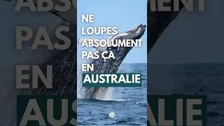 Thumbnail: Sydney vu depuis l'océan 🌊
