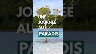 Thumbnail: Magnetic Island, l'île dont personne ne parle 🏝️