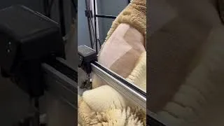 Thumbnail: This Machine Cuts Sheep Wool in Perfect Strips! #shorts #machine  #harvest #sheepfarming
