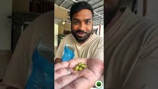 Thumbnail: My new Protein Friend Roasted Edamame | Veggie Paaji #healthy #dietfood