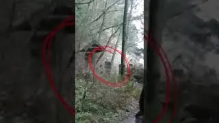Thumbnail: Scariest things hidden in normal photos  #shortsvideo #shorts #scary #ytshorts