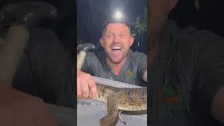 Thumbnail: Lost Crocodile CAUGHT | Venom Diaries