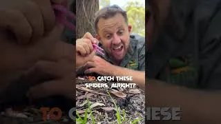 Thumbnail: How To Catch And Donate Funnel-Web Spiders! #VenomDiaries #Funnelweb #Spider