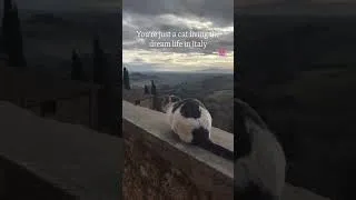 Thumbnail: Living the dream life in Italy 🇮🇹 #italy #lifeinitaly #tuscany