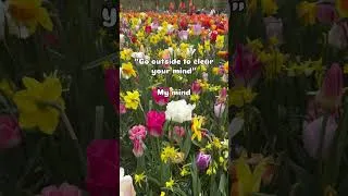 Thumbnail: They said to go outside and clear your mind …. 👀 #travel #mindfulness #funny