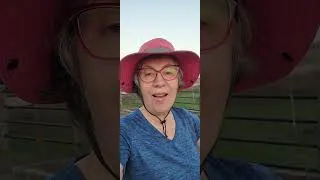 Thumbnail: Farm update