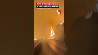 Thumbnail: Algeria Burns As Wildfires Kill 12 | Massive Flames Tear Through Forests And Roadsides | VERTEX