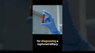 Thumbnail: Bile Leak Detection in Dogs: New Research