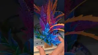 Thumbnail: Color Burst  Floral