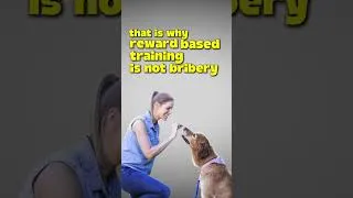 Thumbnail: Why Your Dog's Brain Loves Rewards 🧠🐶
