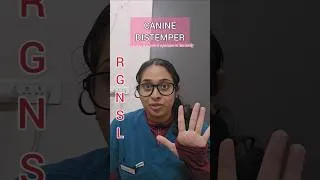 Thumbnail: CANINE DISTEMPER: One virus. Multiple systems. High mortality.❗️