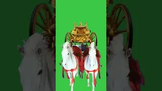 Thumbnail: Green screen horse #horse #equestrian #animation #horselover #greennscreeneffects #chromakey
