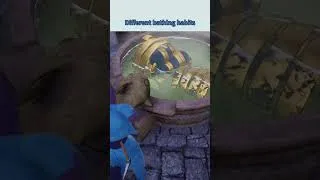Thumbnail: Palworld funny pals