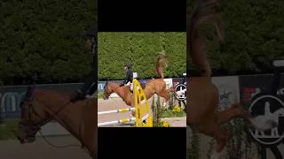 Thumbnail: he will pretty much only do this in the show ring right before the first few jumps or right after
