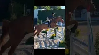 Thumbnail: Bari was INSANE today picking up 2nd in the speed class!!! So ready for the classic💪