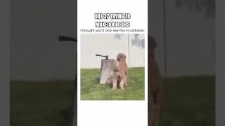 Thumbnail: I Thought You'd Only See This In Cartoons 🤣🤣 #viral #funny #failgag #dog #funnyvideo #fypシ #foryou
