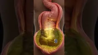Thumbnail: Amazing facts about the human body. #facts