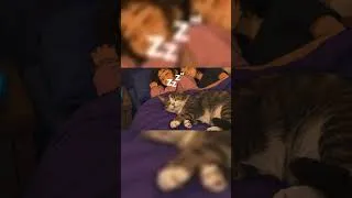 Thumbnail: Booty Scoots 🍑 #spooning #phonk #comedy